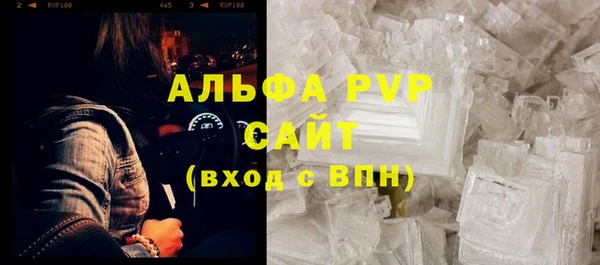 ПСИЛОЦИБИНОВЫЕ ГРИБЫ Каменка