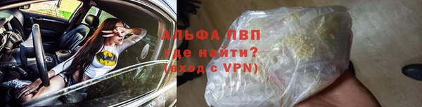 ПСИЛОЦИБИНОВЫЕ ГРИБЫ Каменка