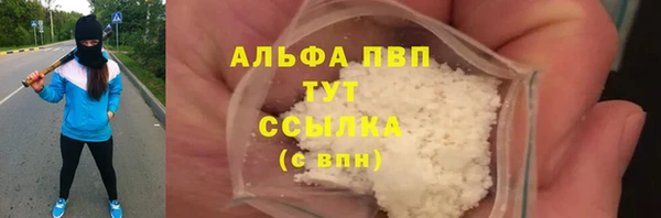 ПСИЛОЦИБИНОВЫЕ ГРИБЫ Каменка