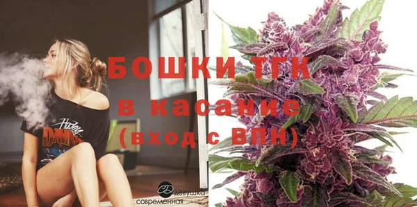 ПСИЛОЦИБИНОВЫЕ ГРИБЫ Каменка