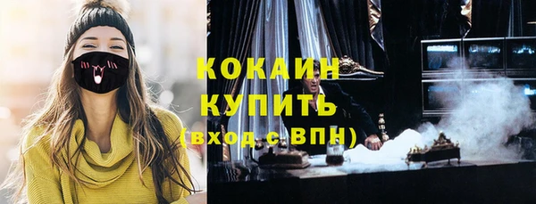 ПСИЛОЦИБИНОВЫЕ ГРИБЫ Каменка