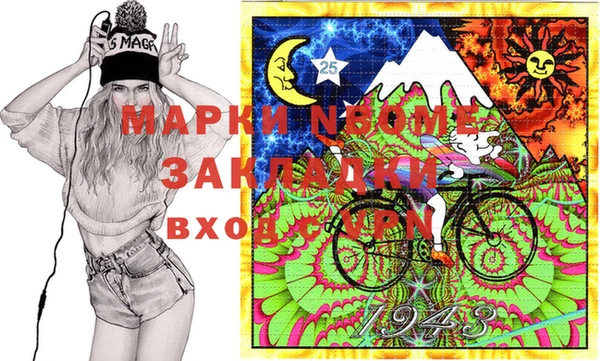 ПСИЛОЦИБИНОВЫЕ ГРИБЫ Каменка